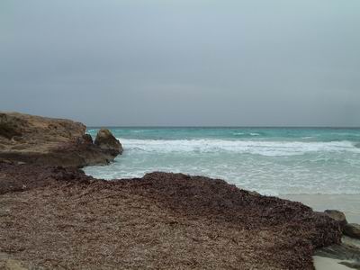 DSCF0053.JPG